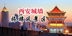 鸥美乱操屄中国陕西-西安城墙旅游风景区